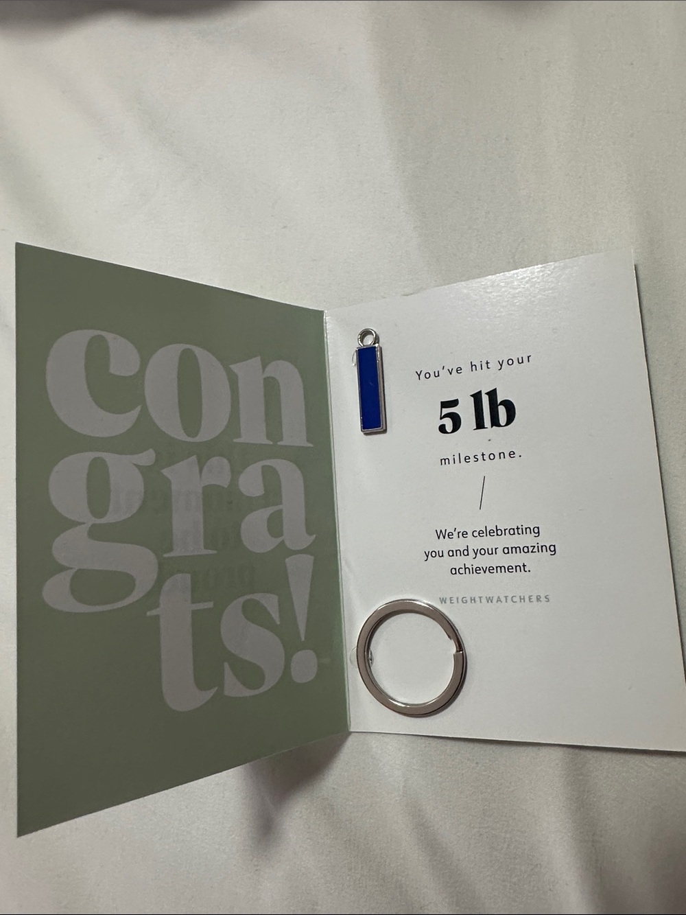 Inspirational Mint Green Card - "this is a moment to be proud."